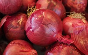 Certaldo Onion Tuscany
