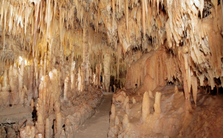 SpeleoNight - Grotte di Castellana