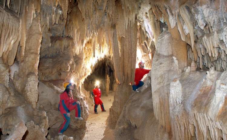 SpeleoNight - Castellana Grotte - Puglia