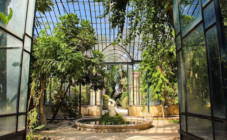 Botanical Garden of Palermo - Sicily - Italy