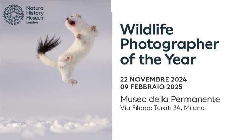 Wildlife Photographer of the Year 2024 - Milano